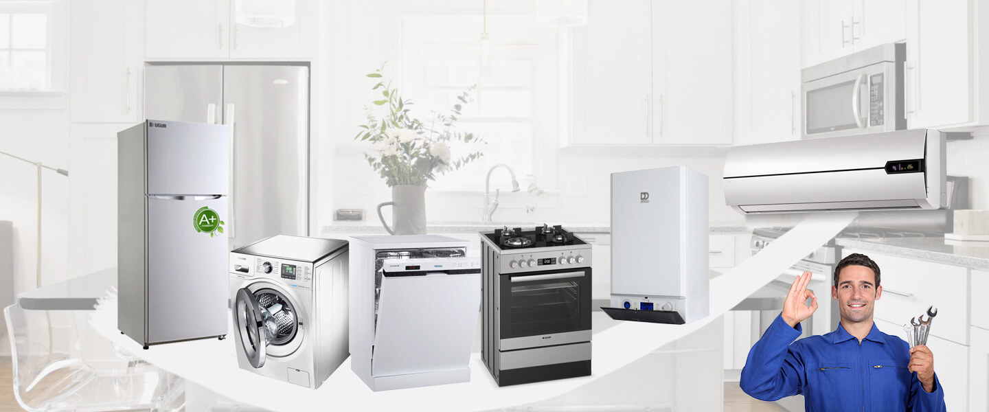 Altınordu Electrolux Servisi